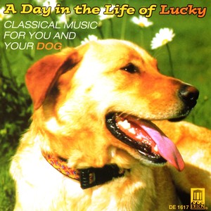 CLASSICAL MUSIC FOR YOU AND YOUR DOG - A Day in the Life of Lucky