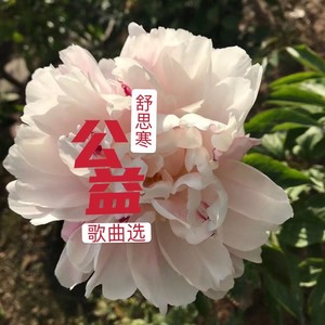 沭阳文明拍手歌 (伴奏)