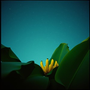 Ba-na-na-na-na-na-na-na-na