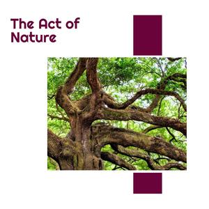 The Act of Nature