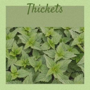 Thickets