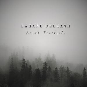 Bahare Delkash