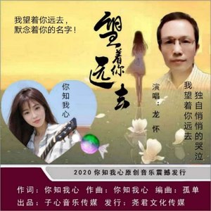 望着你远去