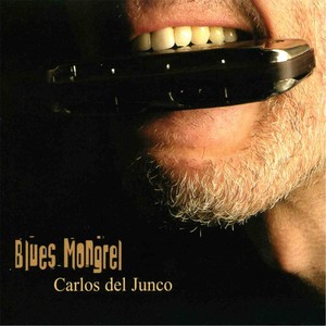 Blues Mongrel