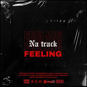 Feeling Na Track (Explicit)