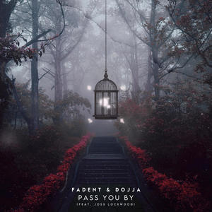 pass you by (feat. joss lockwood)