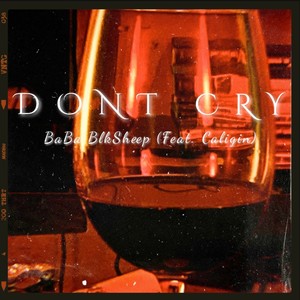 DON'T CRY (feat. Caligin) [Explicit]