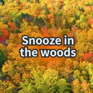 Snooze in the woods