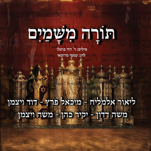 תורה משמיים