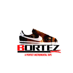 BORTEZ - A PERFECT INSTRUMENTAL TAPE