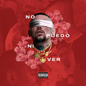 No Puedo Ni Ver (Explicit)