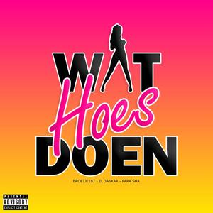 Wat Hoes Doen (feat. Broetje187 & El 3askar) [Explicit]