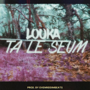 Ta le seum (feat. Louka) [Explicit]