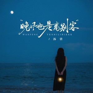 晚风也是离别客