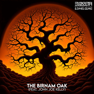 The Birnam Oak (feat. John Joe Kelly)