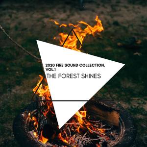 The Forest Shines - 2020 Fire Sound Collection, Vol.1