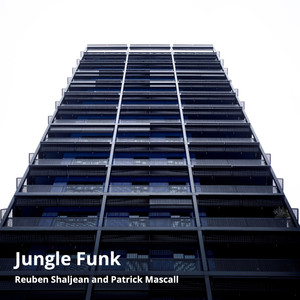 Jungle Funk