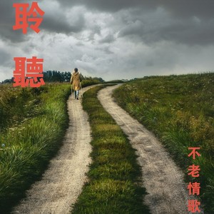 爱的迷路