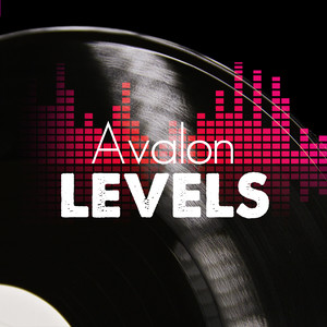 Levels (Radio Edit)