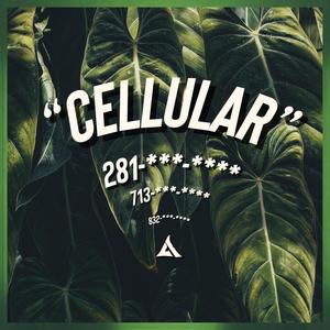 Cellular