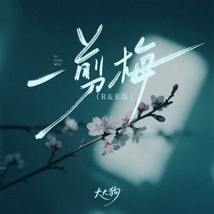 一剪梅 (R&B版)