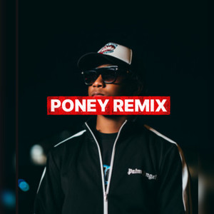 Geen love for you (Poney Remix)