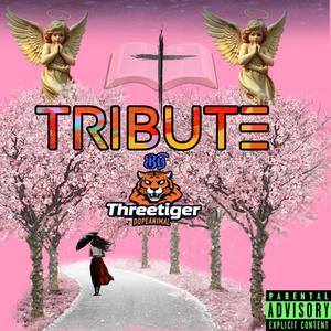 Tribute (Explicit)