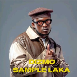 Dizmo Sample Laka