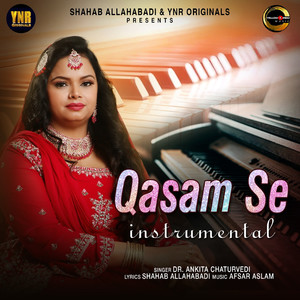 Qasam Se (Instrumental)