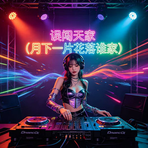 误闯天家-DJ大乔&DJ铁柱