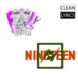 Fooly 19 (feat. Skally) (Radio Edit)