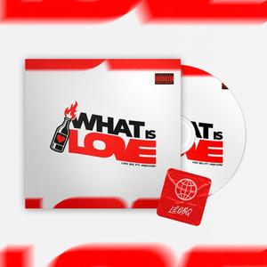 MEGA WHAT IS LOVE (Explicit)