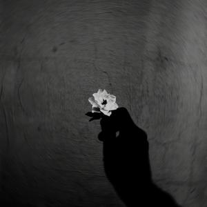 Shadows(Slowed And Reverbed)(Slowed)