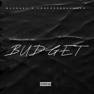 BUDGET