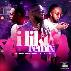 I Like (feat. Lil Ru aka Boobie Samuels) [Nasty Remix] [Explicit]