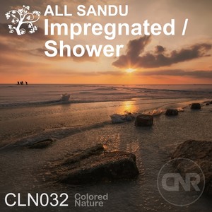 Shower (Original Mix)
