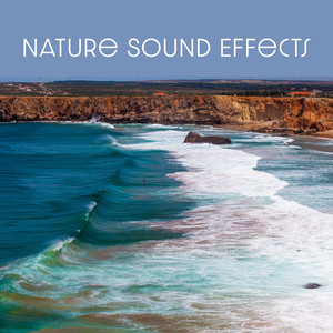 Nature Sound Effects (Waterfall, River Stream, Ocean Waves, Beach Water)