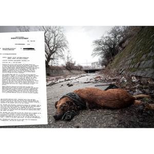 Paperwork Party (Ruger100 Diss) (Explicit)