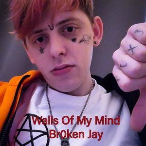 Walls Of My Mind (feat. Dani B) [Explicit]