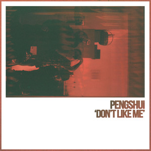 Don't Like Me (Explicit)