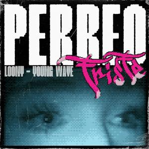 PERREO TRISTE (feat. SXNTYY)