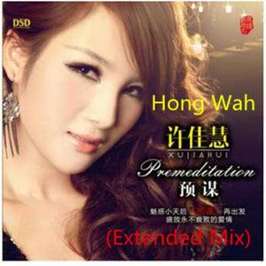 刘德华-许佳慧 - 预谋 (DJ雅康 Extended Mix|DJ骓康 remix)