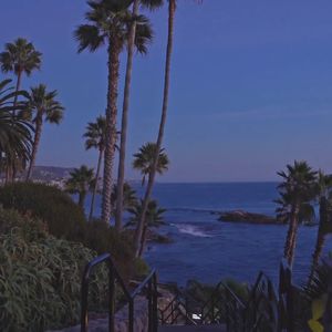 Quantum (Beat 氛围感)