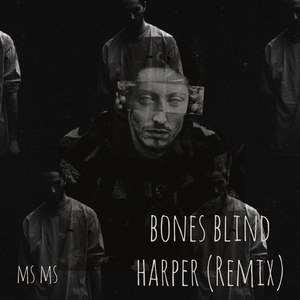 Blind Harper (Ms Ms Remix)