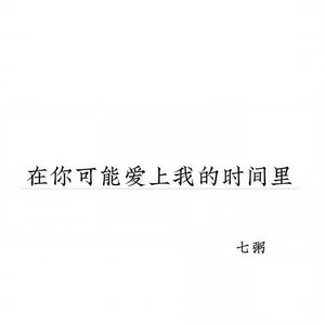 在你可能爱上我的时间里