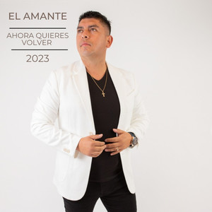 Ahora Quieres Volver
