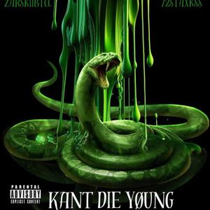 Plead da 5th (feat. Zarskiibtcc) (Explicit)