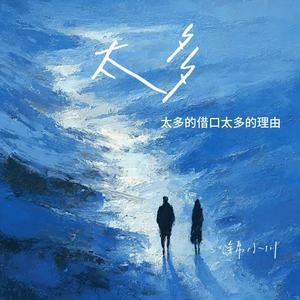 太多（太多的借口太多的理由）