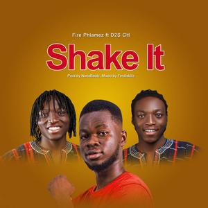 Shake It (feat. D2S GH)