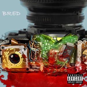 Birds(feat. Freeway Gwalla, M3 Beatz & Ht7) (Explicit)